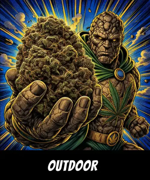 Durban Poison
